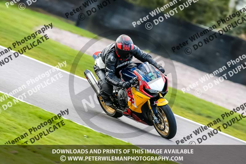 Oulton Park 20th March 2020;PJ Motorsport Photography 2020;anglesey;brands hatch;cadwell park;croft;donington park;enduro digital images;event digital images;eventdigitalimages;mallory;no limits;oulton park;peter wileman photography;racing digital images;silverstone;snetterton;trackday digital images;trackday photos;vmcc banbury run;welsh 2 day enduro